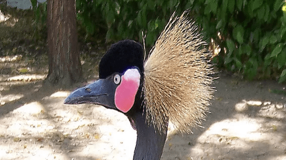 Présentation de Kar-Hay